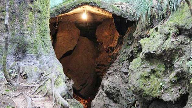 Cave Garden